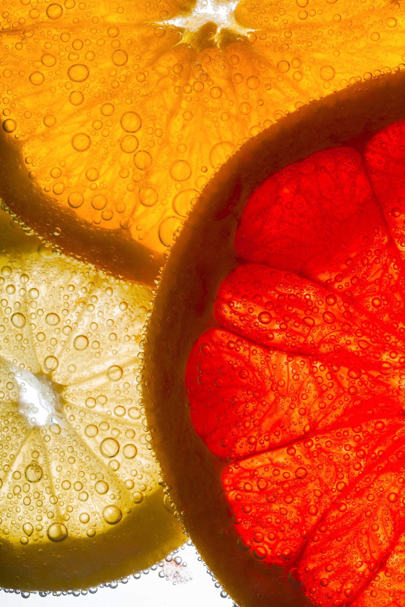 Close-up of sliced citrus fruits with water droplets on a white background